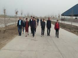 2508ad67a832dfdb3bb5605bd4f16ac